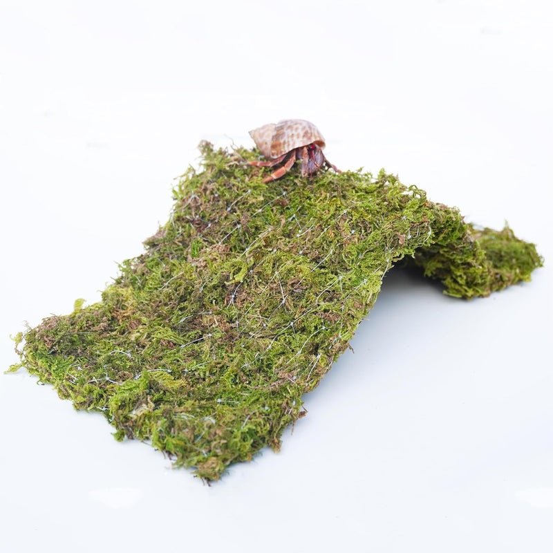 Begeterday Hermit Crab Climbing Toys, 13.5 inch Bendable Climbing Bridge, Ideal Hermit Crab Supplies for 10 Gallon Hermit Crab Tank - Image 5